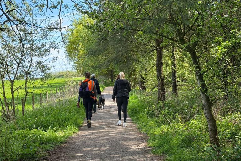 two people walking outdoors along a tree lined path.  There is blue sky showing through the trees.