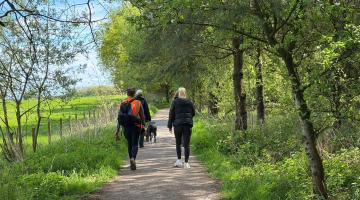two people walking outdoors along a tree lined path.  There is blue sky showing through the trees.